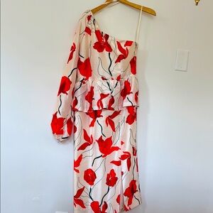 HUTCH Floral One-Shoulder SilkDress in Red and Cream